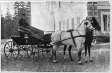 Bursztyn, pałac Skarbk&oacute;w i Jabłonowskich, zaprzęg na tle pałacu