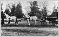 Bursztyn, pałac Skarbk&oacute;w i Jabłonowskich, czw&oacute;rka na tle pałacu