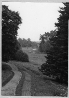 Cerkliszki, założenie pałacowe Mostowskich, fragment parku