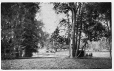 Chot&oacute;w, dw&oacute;r Łęskich, fragment parku