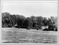 Czarna, fragment parku