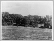 Czarna, fragment parku