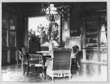 Czarnomin, pałac, biblioteka