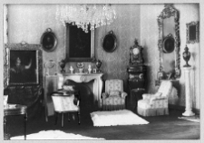 Czerepaszyńce, pałac, fragment salonu "Wielkiego"