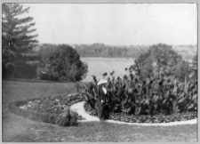 Czerepaszyńce, fragment parku