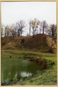 Czombr&oacute;w, "Horodyszczyk", wzg&oacute;rze z reliktami zamku Kurcz&oacute;w