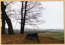 Czombr&oacute;w, widok z "Horodyszczyka"