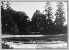 Derewlany, widok z dworu na aleję wjazdową