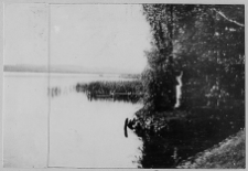 Derkacze, widok parku dworskiego