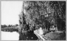 Derkacze, widok parku dworskiego