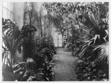 Dobośnia, zesp&oacute;ł pałacowy Bułhak&oacute;w, wnętrze oranżerii