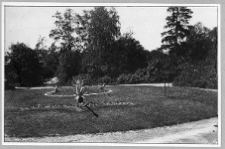 Dołmatowszczyzna, gazon przed dworem