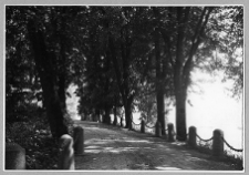 Dubiecko, aleja wjazdowa