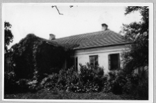 Dubieniec, fragment dworu