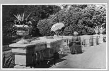 Dzielińcze, pałac, fragment tarasu frontowego