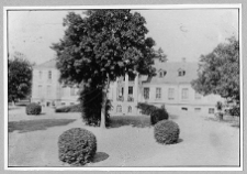 Dzwonicha, pałac Jaroszyńskich