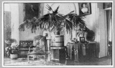 Dzwonicha, pałac Jaroszyńskich, fragment wnętrz