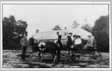 Dzwonicha, pałac Jaroszyńskich, zaprzęg z kucami