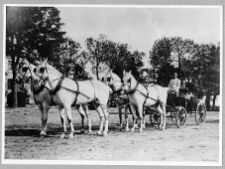 Dzwonicha, pałac Jaroszyńskich, czw&oacute;rka przed pałacem