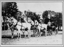 Dzwonicha, pałac Jaroszyńskich, czw&oacute;rka przed pałacem