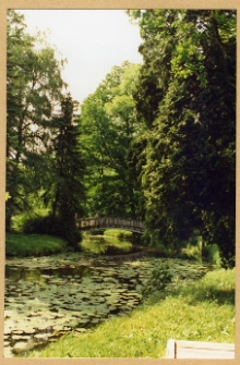 Freda, zesp&oacute;ł pałacowy, fragment parku