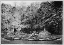 Giełwany, fragment parku