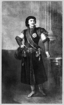 Hajworon, pałac, portret kasztelana Adama Wawrzyńca Rzewuskiego