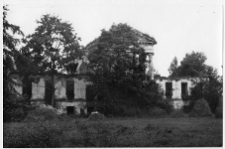Hanuszyszki, ruiny pałacu