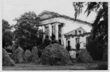 Hanuszyszki, ruiny pałacu