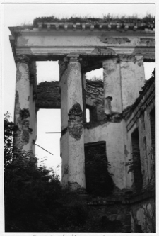 Hanuszyszki, ruiny pałacu