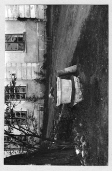Hanuta, pałac Ogińskich, fragment podjazdu