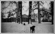 Hawłowice Dolne, dw&oacute;r od podjazdu