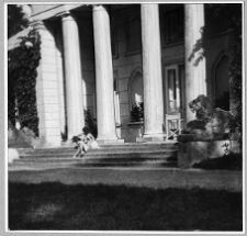 Hawłowice Dolne, dw&oacute;r, portyk