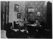 Hornostajewicze, dw&oacute;r, salon "kominkowy"