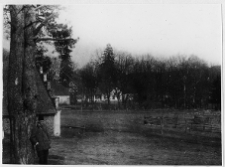 Hornostajewicze, dw&oacute;r, widok og&oacute;lny