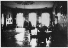 Hołowczyce, pałac, salon wielki