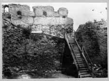 Łuck, Zamek Lubarta