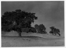 Moroczna Wielka, krajobraz