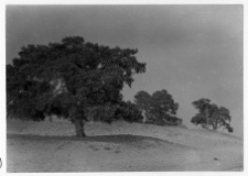 Moroczna Wielka, krajobraz