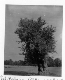 Moroczna Wielka, krajobraz