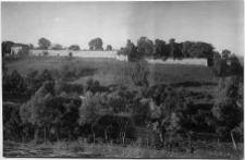 Oleksiniec Stary, ruiny zamku Czartoryskich