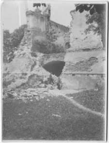 Oleksiniec Stary, ruiny zamku Czartoryskich