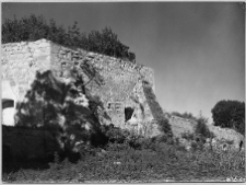 Oleksiniec Stary, ruiny zamku Czartoryskich