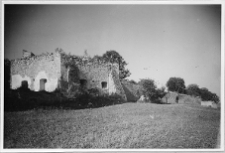 Oleksiniec Stary, ruiny zamku Czartoryskich