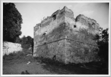 Oleksiniec Stary, ruiny zamku Czartoryskich