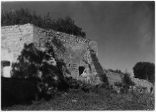 Oleksiniec Stary, ruiny zamku Czartoryskich