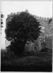 Ruiny zamku Ostrogskich,