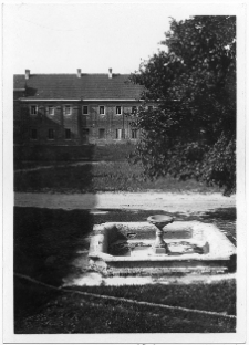 Ołyka, pałac Radziwiłł&oacute;w
