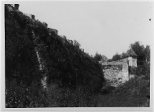 Ołyka, pałac Radziwiłł&oacute;w