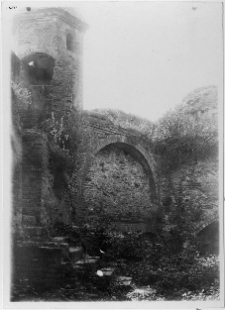 Ołyka, pałac Radziwiłł&oacute;w